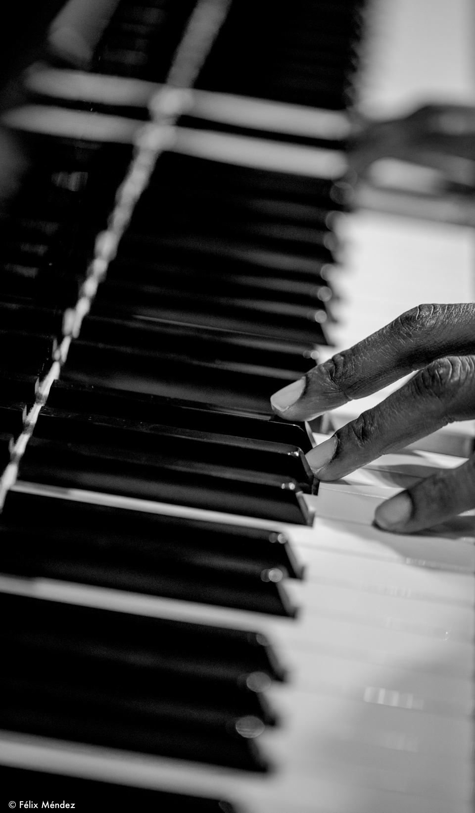 ARUÁN ORTIZ & RAYNALD COLOM-2